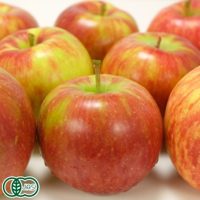【家庭用・クール便】 有機 りんご(赤) 3kg箱 有機JAS (青森県 北上農園) 産地直送