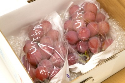 【予約・9月中旬・クール便】クイーンニーナ 約1kg 特別栽培  (宮城県 後藤ぶどう園) 産地直送