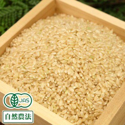 【予約・令和6年度産・数量限定】 河原さんのお米 玄米5kg 有機JAS・自然農法(岡山県 河原農園) 産地直送