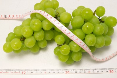 【予約・9月上旬・クール便】有機 ぶどう シャインマスカット 1kg 有機JAS 自然農法 (宮城県 後藤ぶどう園)  産地直送