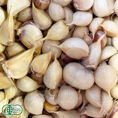 有機乾燥にんにくバラ詰め 1kg サイズ混合 有機JAS (青森県 Ryosuke Oyasai) 産地直送