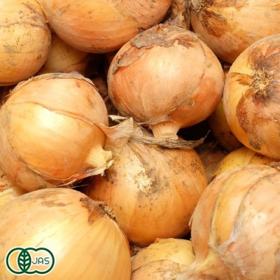 【サイズ無選別】 有機 玉ねぎ 20kg 有機JAS (北海道 はるか農園) 産地直送