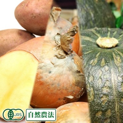有機かぼちゃ・じゃがいも・玉ねぎセット約10kg 有機JAS (北海道 はるか農園) 自然農法 産地直送