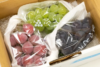 【おすすめ・クール便】有機 3種のぶどうセット 2kg 有機JAS 自然農法 (宮城県 後藤ぶどう園) 産地直送