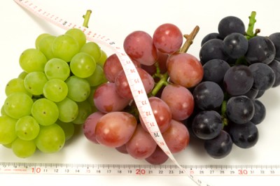 【おすすめ・クール便】有機 3種のぶどうセット 2kg 有機JAS 自然農法 (宮城県 後藤ぶどう園) 産地直送