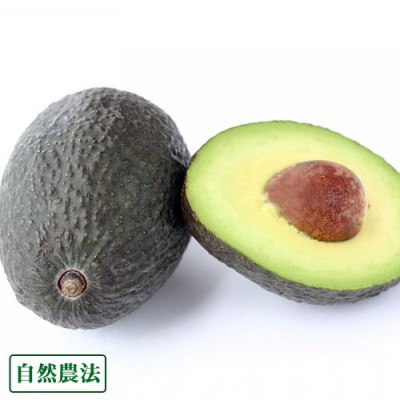 アボカド 約500gパック(2個入れ)×2パック 自然農法 (沖縄県 大宜味農場) 産地直送