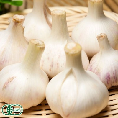 有機 乾燥にんにく(福地ホワイト六片種) A品 1kg 有機JAS (青森県 あおもり南部有機生産組合) 産地直送