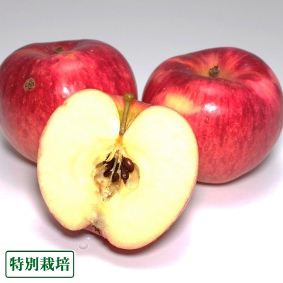 【数量限定・クール便】未希ライフ 訳あり 5kg箱 特別栽培 (青森県 田村りんご農園) 産地直送