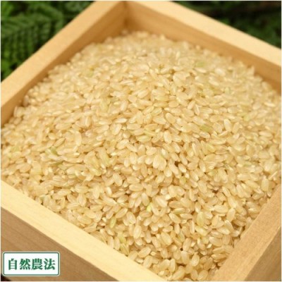 【ポイント3倍・令和4年産】岡山県産米 玄米 朝日 30kg 自然農法 (岡山県 自然農法中国支所倉敷 )