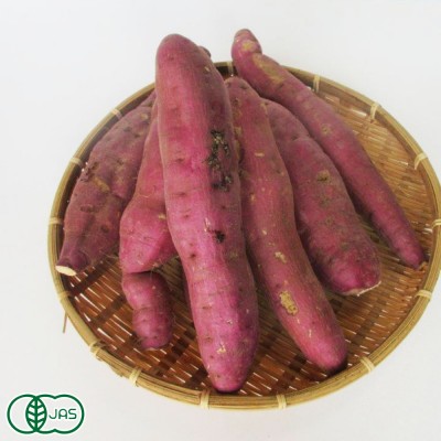 【セール・B品訳あり】有機さつまいも 大(紅はるか) 2L～3Lサイズ 10kg 有機JAS (熊本県 那須自然農園) 産地直送