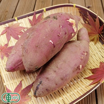 【セール】有機さつまいも 大(紅はるか) 2L～3Lサイズ 10kg 有機JAS (熊本県 那須自然農園) 産地直送