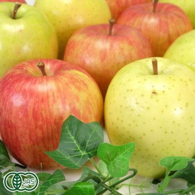 【家庭用】有機りんご2色セット 5kg 有機JAS  (青森県 北上農園) 産地直送