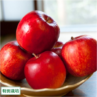 【予約商品】 りんご つがる  秀品 5kg 特別栽培 (青森県 阿部農園) 産地直送