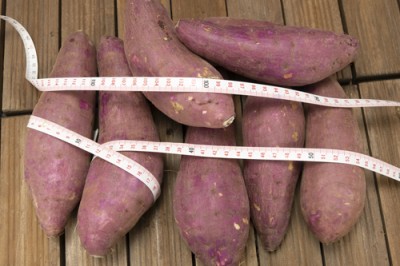 【サイズ混合】有機さつまいも(紅はるか) 3kg 有機JAS 自然農法 (熊本県 那須自然農園) 産地直送