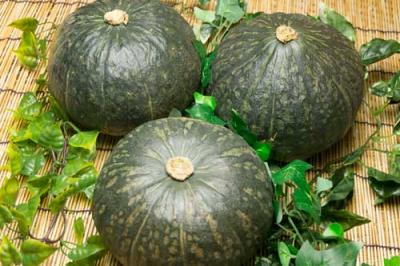 栗かぼちゃ(ブラックのジョー) 約10kg 有機JAS 自然農法 (北海道 はるか農園) 産地直送 カボチャ