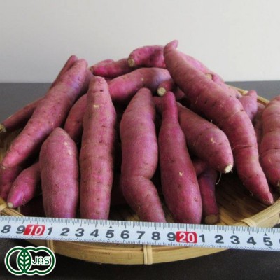【セール】有機おやつさつま芋 5kg 有機JAS (熊本県 那須自然農園) さつまいも 産地直送