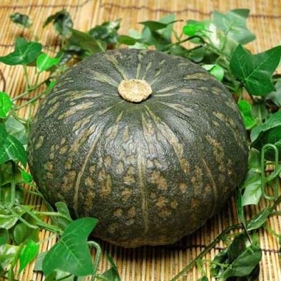 有機かぼちゃ・じゃがいも・玉ねぎセット 約10kg×2箱 有機JAS (北海道 はるか農園) 自然農法 産地直送