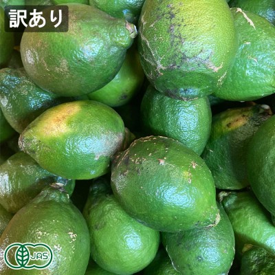 【訳あり】レモン(青) 『璃の香』 7kg 県特別栽培 (熊本県 オレンジヒルズ) 産地直送