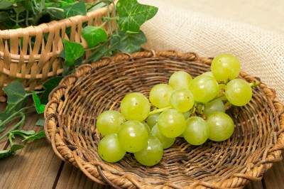 【予約・9月上旬・クール便】有機 ぶどう 多摩ゆたか 1kg 有機JAS 自然農法 (宮城県 後藤ぶどう園)  産地直送