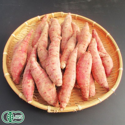【大人気】有機おやつさつま芋(土付き) 3kg 有機JAS (熊本県 那須自然農園) さつまいも 産地直送