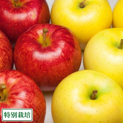 【予約商品・クール便・家庭用】早生りんご2色 5kg箱 特別栽培 (青森県 田村りんご農園) 産地直送