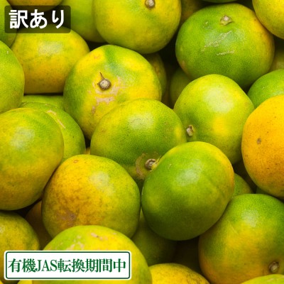 【特別セール!・訳あり】極早生みかん(青みかん) 3kg サイズ混合 有機JAS転換期 (佐賀県 佐藤農場株式会社) 産地直送