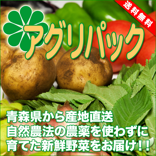 【クール冷蔵便】アグリパックC 自然農法 (青森 アグリメイト南郷) 野菜セット 産地直送