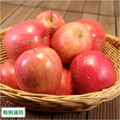 【小玉】 早生りんご(赤) A品 4～5kg箱(23～25玉) 特別栽培 (青森県 田村りんご農園)  産地直送