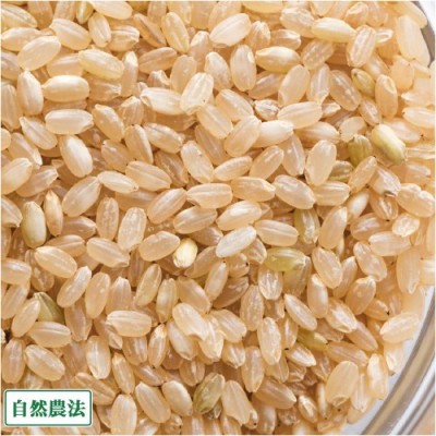 【令和4年度産売り尽くしセール!】 つがるロマン 玄米 30kg 自然農法 (青森県 阿部農園) 産地直送