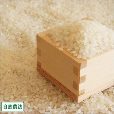 【令和4年度産売り尽くしセール!】 つがるロマン 精米 10kg 自然農法 (青森県 阿部農園) 産地直送