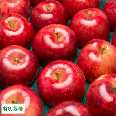 【訳あり】 つがる 5kg箱 特別栽培 (青森県 さいとうりんご園) 産地直送