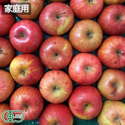 【家庭用・クール便】有機りんご(季節のおすすめ) 5kg箱 有機JAS (青森県 北上農園) 産地直送