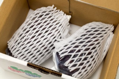 【予約・10月上中旬頃】オリエンタルスター(種無し) 1kg 特別栽培 (宮城県 後藤ぶどう園) 産地直送
