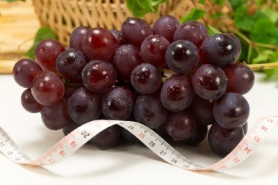 【予約・10月上中旬頃】オリエンタルスター(種無し) 1kg 特別栽培 (宮城県 後藤ぶどう園) 産地直送