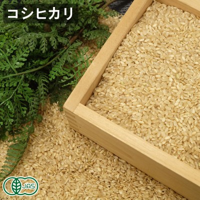 【令和8年度産】有機コシヒカリ 玄米 20kg 有機JAS (福井県 米農房そまねこ) 産地直送
