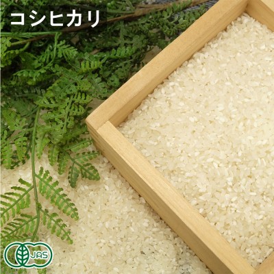【令和8年度産】有機コシヒカリ 白米 20kg 有機JAS (福井県 米農房そまねこ) 産地直送