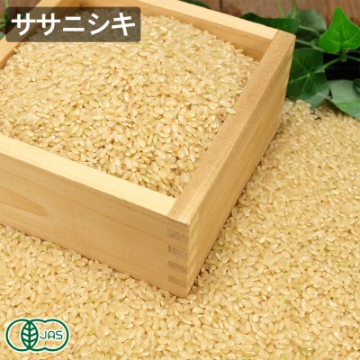 【令和8年度産】有機ササニシキ 玄米 20kg 有機JAS (福井県 米農房そまねこ) 産地直送