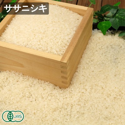 【令和8年度産】有機ササニシキ 白米 20kg 有機JAS (福井県 米農房そまねこ) 産地直送