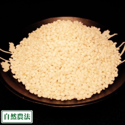 【令和6年度産】もち米(こがねもち) 白米・玄米 2kg 自然農法 (山形県 佐藤農園) 産地直送