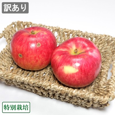 【訳あり小玉】早生りんご(赤) 5kg箱(25～28玉)(青森県 田村りんご農園) 特別栽培 減農薬 りんご 送料無料 産地直送