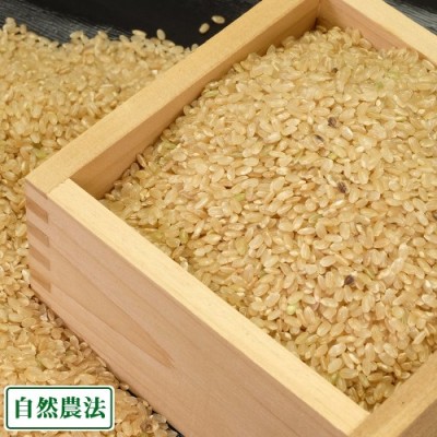 【令和6年度産】つがるロマン 玄米5kg 自然農法 (青森県 アグリメイト南郷) 産地直送