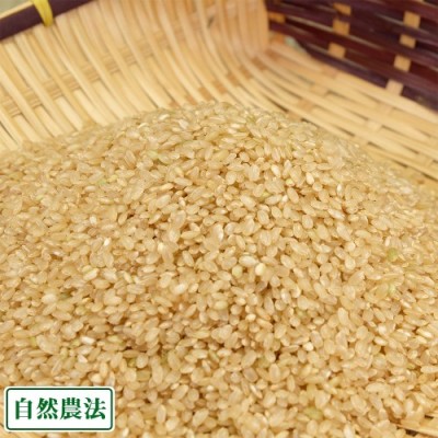 【令和4年度産】あきたこまち 玄米5kg 自然農法 (青森県 アグリメイト南郷) 産地直送