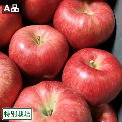 華宝(かほう) A品　5kg箱 特別栽培 (青森県 田村りんご農園)  産地直送