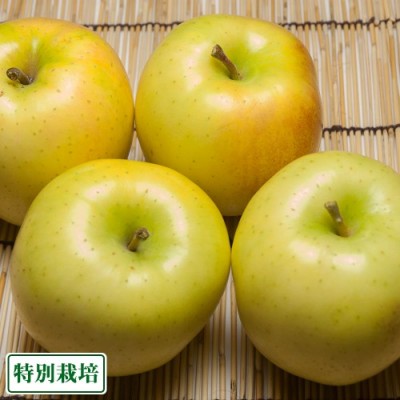 【ポイント3倍】とき A品5kg箱 特別栽培 (青森県 田村りんご農園) 産地直送