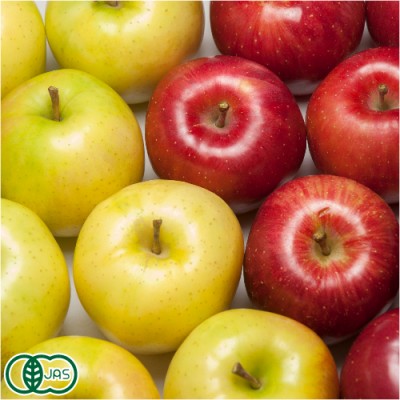 【小玉】有機りんご 2色セット A品 5kg箱 有機JAS (青森県 北上農園)