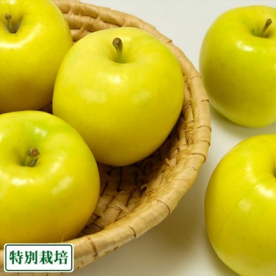 もりのかがやき 秀品 5kg 特別栽培 (青森県 阿部農園) りんご 産地直送
