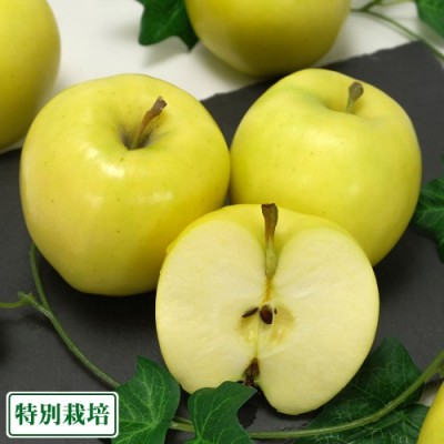 もりのかがやき A品 10kg 特別栽培 (青森県 阿部農園) りんご 産地直送
