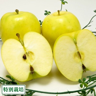 【訳あり】もりのかがやき 10kg 特別栽培 (青森県 阿部農園) りんご 産地直送