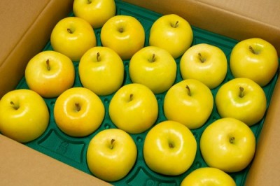 もりのかがやき A品 5kg 特別栽培 (青森県 阿部農園) りんご 産地直送