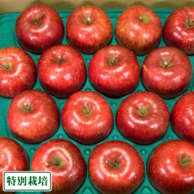 昴林 秀品5kg 特別栽培 (青森県 阿部農園) 産地直送